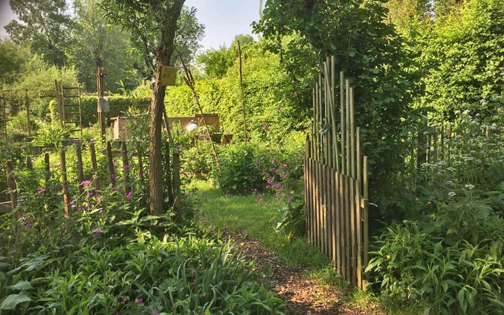 Genieten in eigen zelfvoorzienende tuin