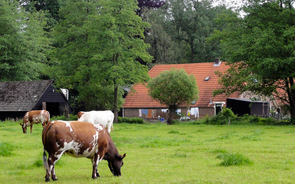 Wonen en zorg in het groen