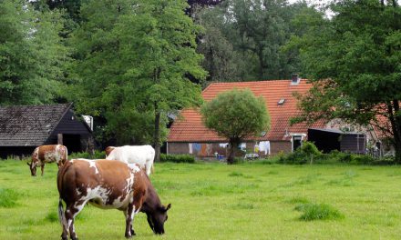 Wonen en zorg in het groen