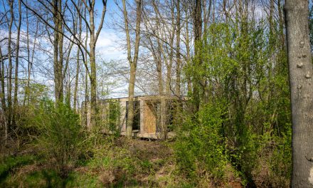 Tiny houses in nieuwe natuur