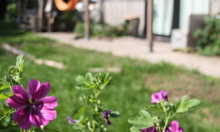 Elke Rabé focust zich op voedsel uit de natuur