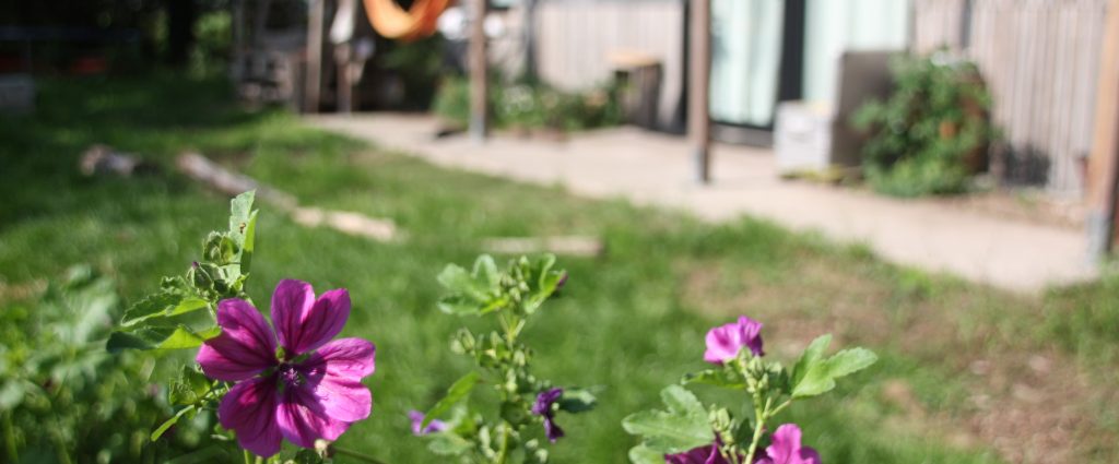 Elke Rabé focust zich op voedsel uit de natuur