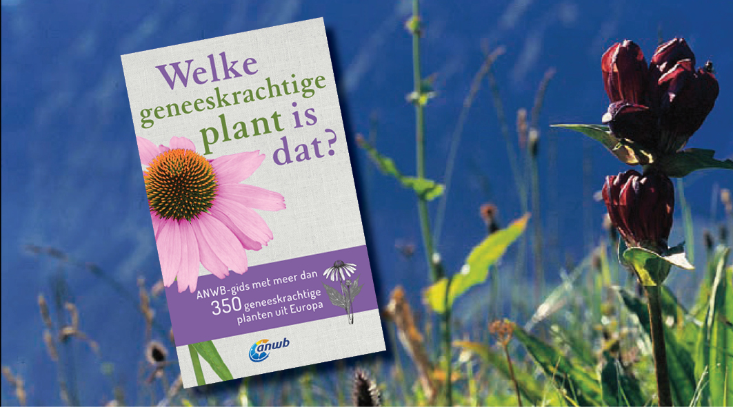 Perfect werkje voor plantherkenning