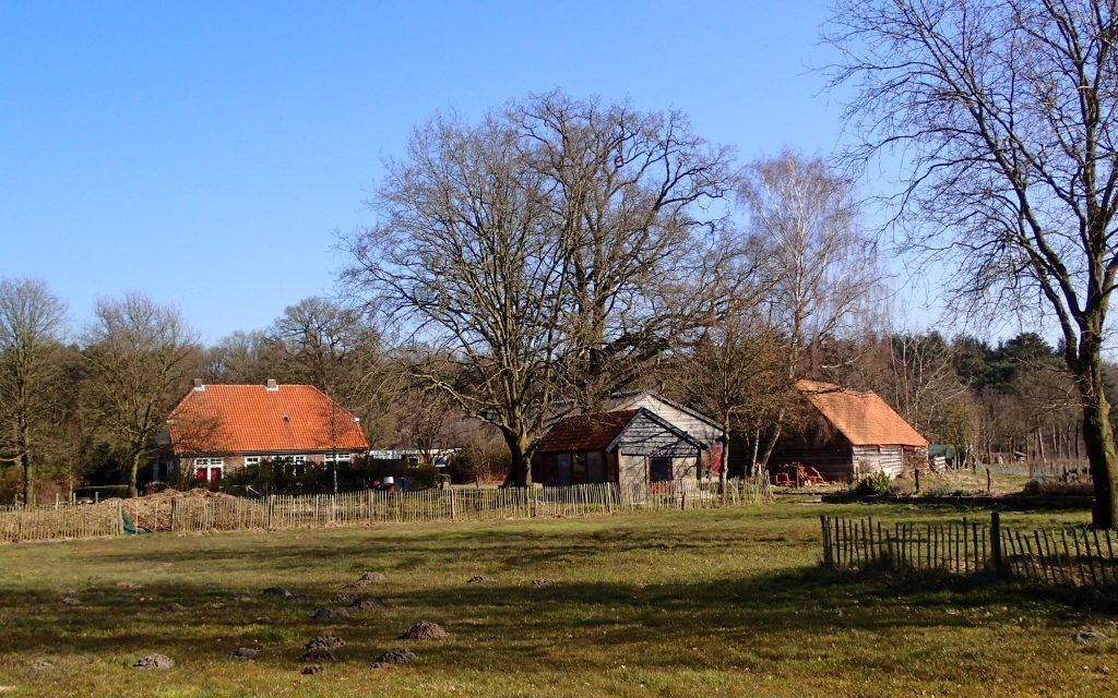 Wolkeloze luchten en erfdelen