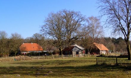 Wolkeloze luchten en erfdelen