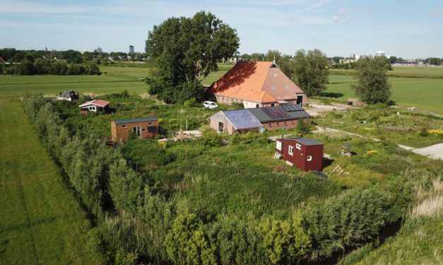 Open huis tiny-bewoners Frijlân