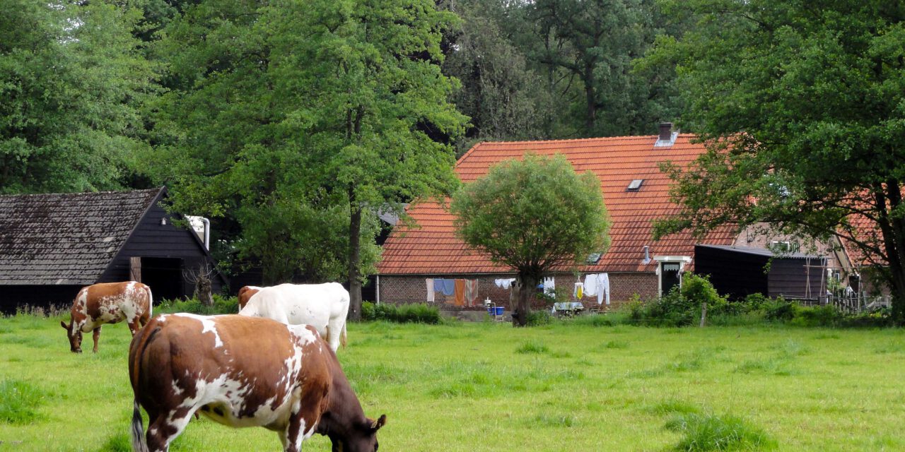 Erfdelen NL kanshebber ZorgSaamWonen Award