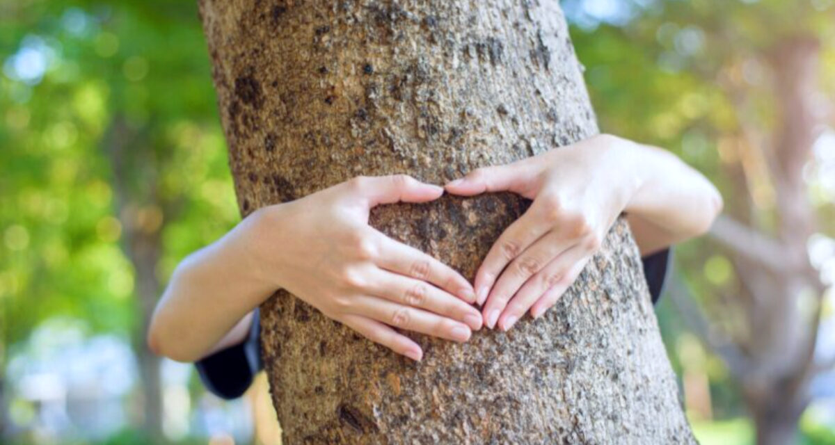 Groen nieuwjaar! Zeg het met bomen