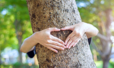 Groen nieuwjaar! Zeg het met bomen