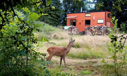 ‘Klein wonen in het groen is zeker reëel’