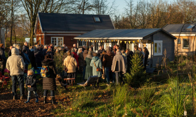 Open dag Klein Groenrijk Cromvoirt